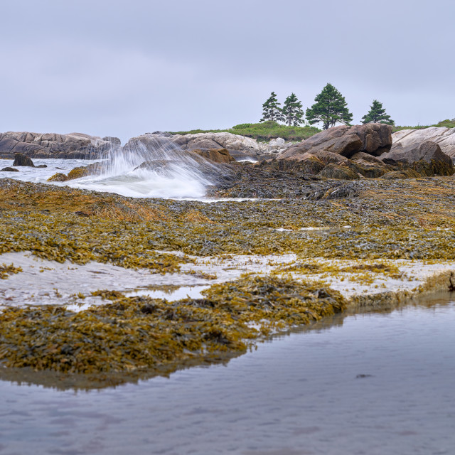 "Low Tide Splash" stock image