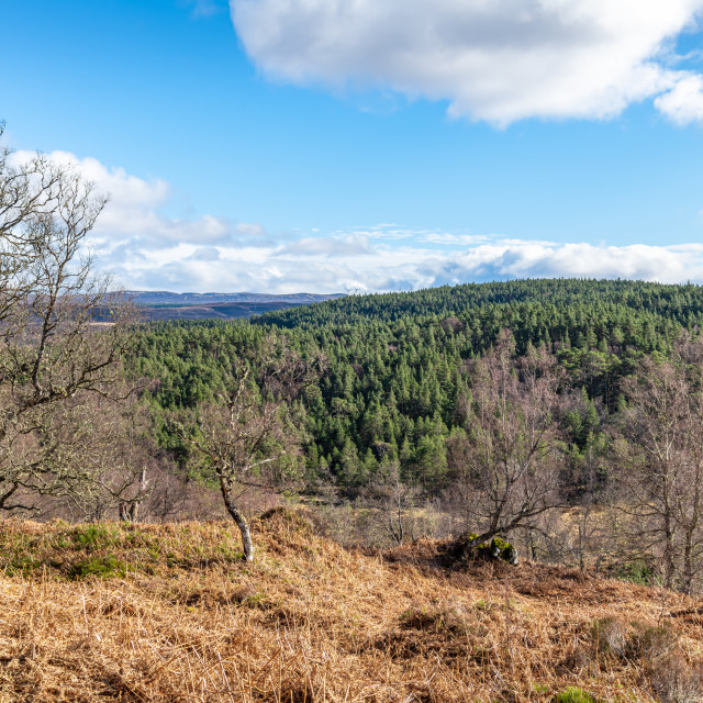 "Glen Affric from the Dog Falls Walk in the Highlands, Scotland" stock image