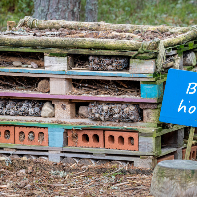 "Bug Hotel made from pallets, bricks and other building materials" stock image