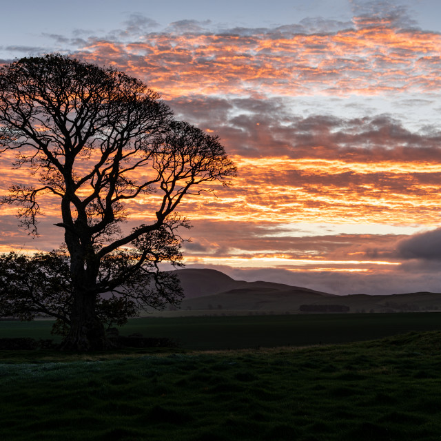 "Cessford Castle Remains at Dawn, Cessford, Scotland" stock image