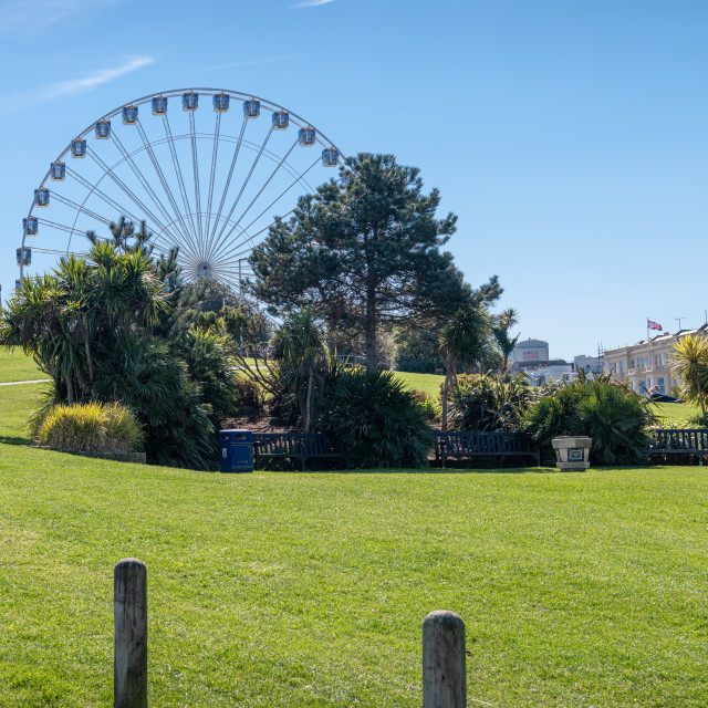 "The Eastbourne Wheel behind the Wishtower Slopes Park area, Eastbourne, England" stock image