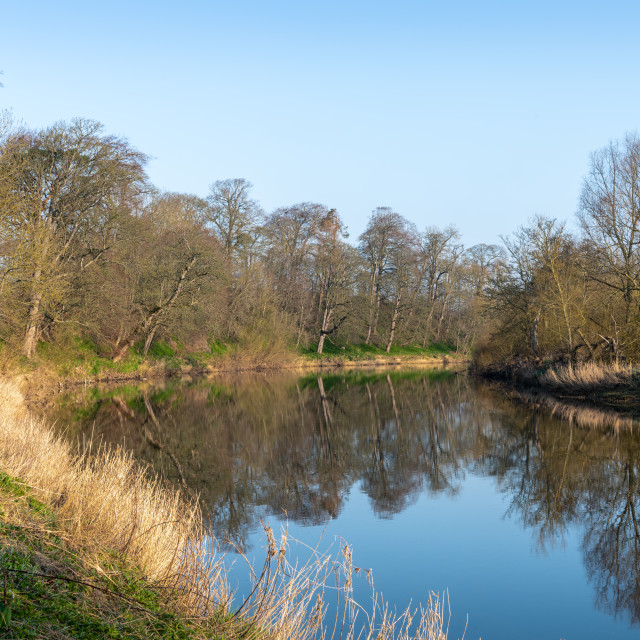 "The Teviot between Kelso and Jedburgh on a sunny winter's day" stock image