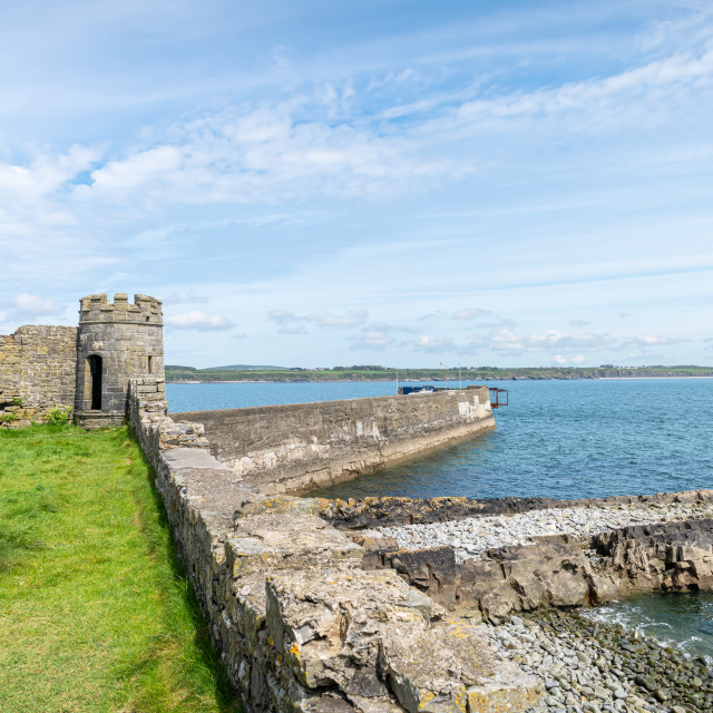 "Corner Tower and defensive seawall around Carrigaholt Castle, County Clare, Ireland;" stock image