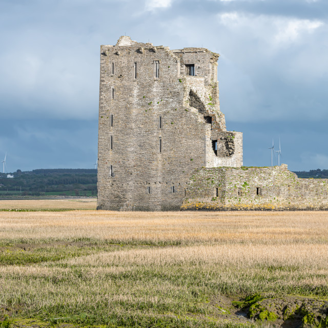 "The remains of Carrigafoyle Castle, Ballylongford, County Kerry Ireland" stock image