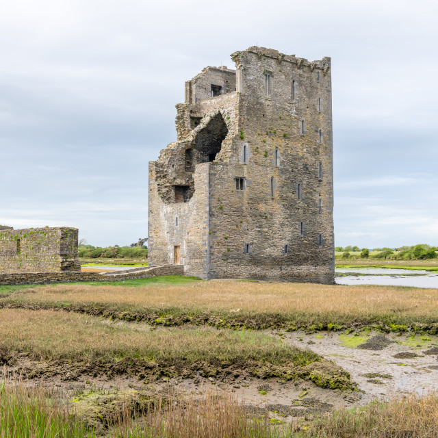 "The remains of Carrigafoyle Castle, Ballylongford, County Kerry Ireland" stock image