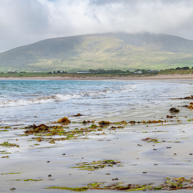 "Ventry Bay Beach in County Kerry, Ireland" stock image