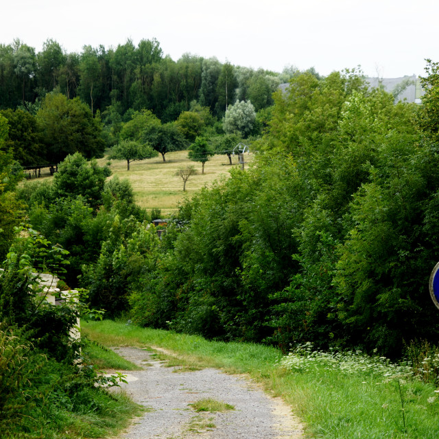 "a road down" by Amit Mendelsohn - $48.79 "a road down" stock image