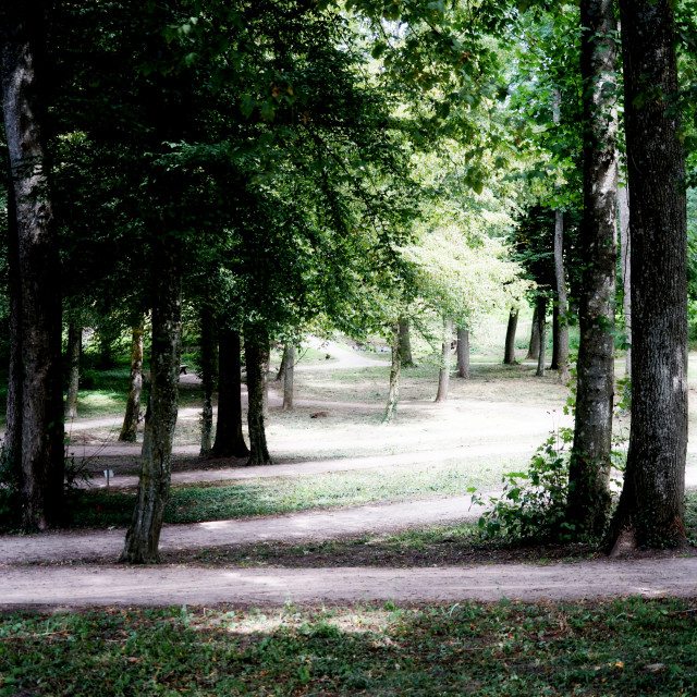 "town park - varvins" by Amit Mendelsohn - $48.79 "town park - varvins" stock image