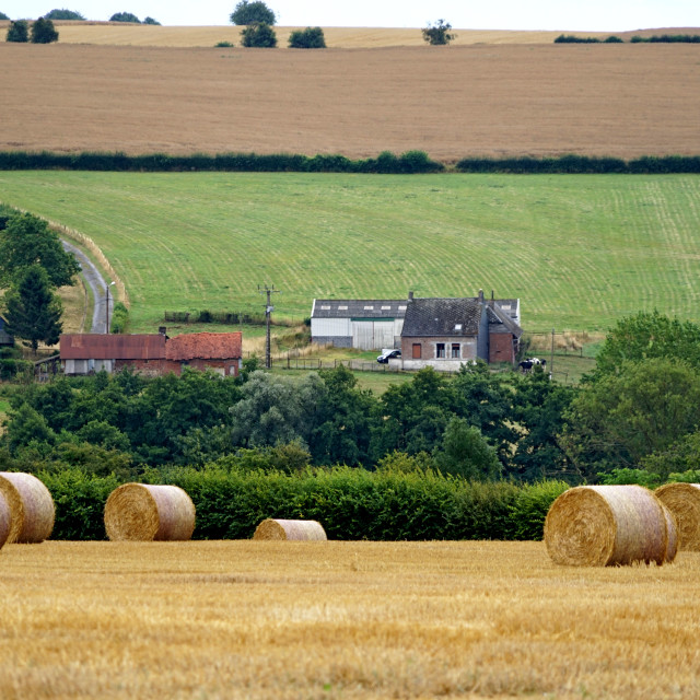 "whit field" by Amit Mendelsohn - $48.79 "whit field" stock image