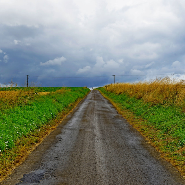 "a road between the fields" by Amit Mendelsohn - $48.79 "a road between the fields" stock image