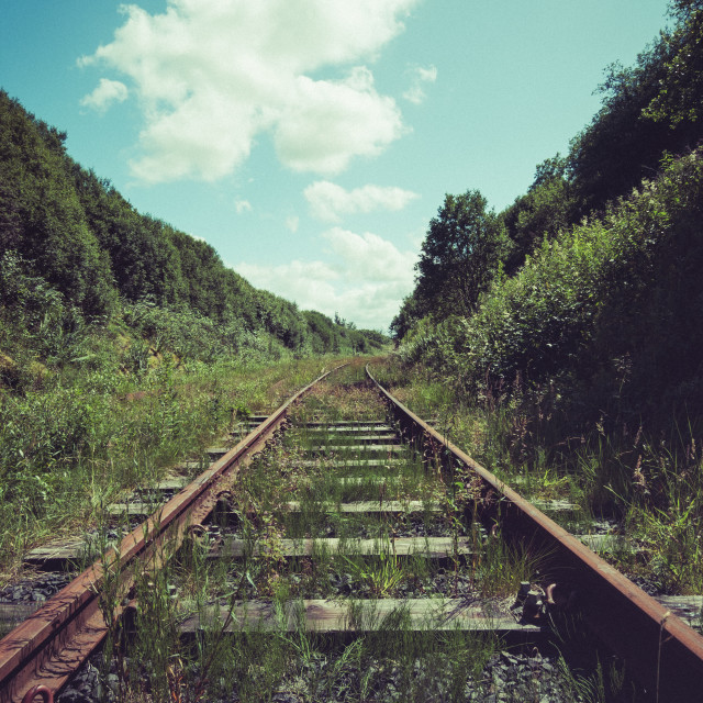 "Track at the Whitrope Heritage Centre, Scotland" stock image