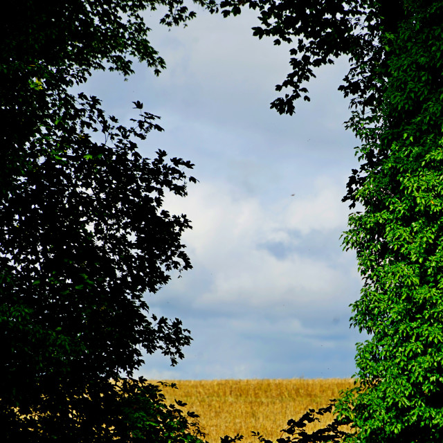 "View in the north of france" by Amit Mendelsohn - $48.79 "View in the north of france" stock image