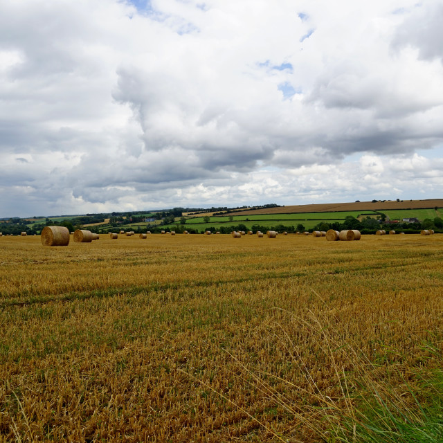 "View in the north of france" by Amit Mendelsohn - $48.79 "View in the north of france" stock image