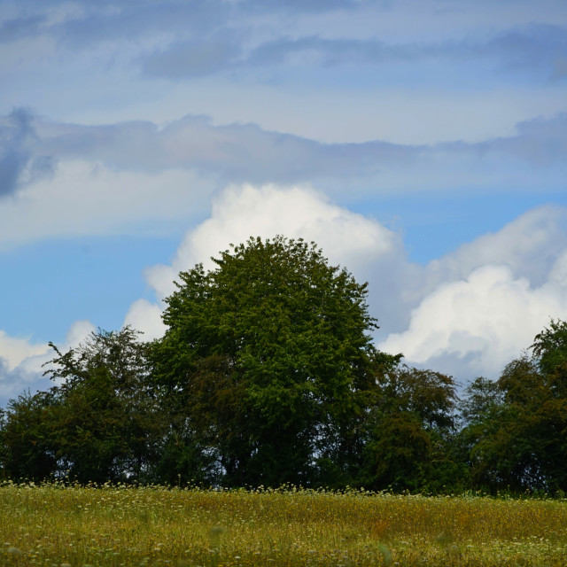 "View from north of france" by Amit Mendelsohn - $48.79 "View from north of france" stock image
