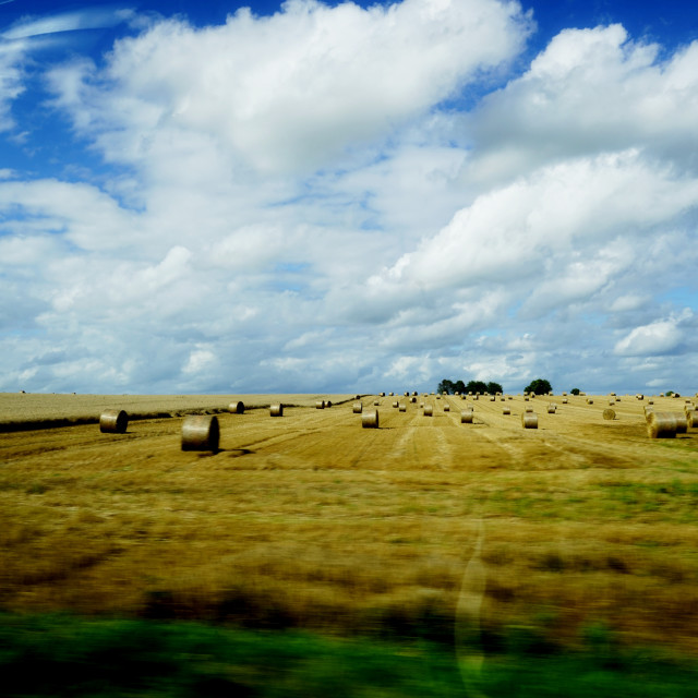 "View from north of france" by Amit Mendelsohn - $48.79 "View from north of france" stock image