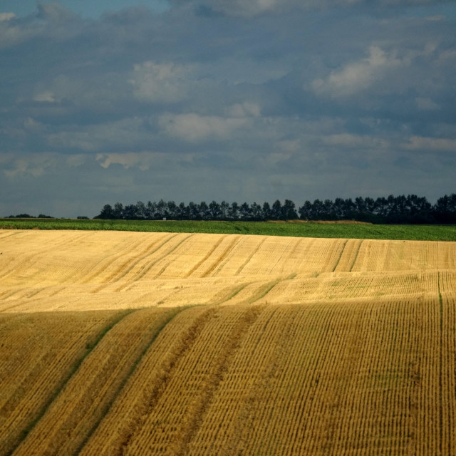 "View from north of france" by Amit Mendelsohn - $48.79 "View from north of france" stock image