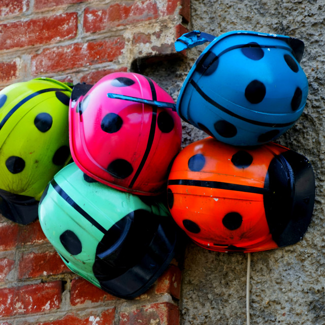 "Security helmets as beetles" by Amit Mendelsohn - $48.79 "Security helmets as beetles" stock image