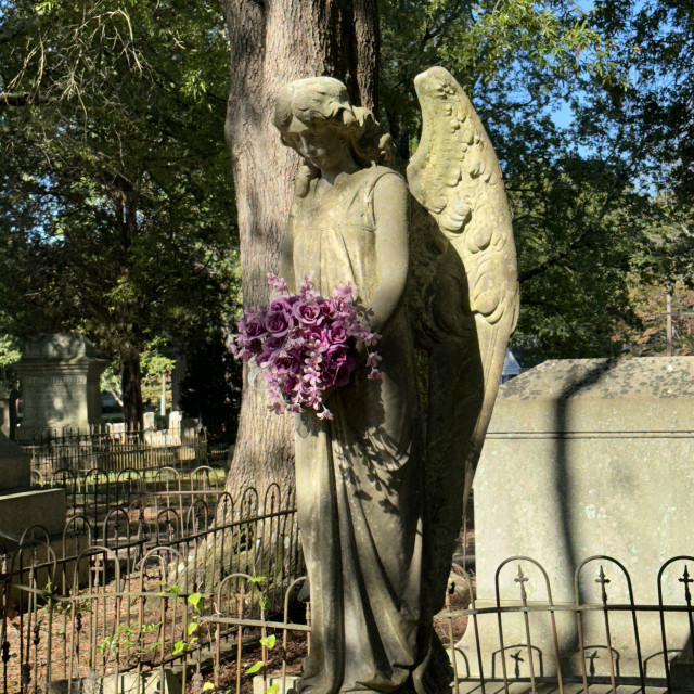 "Chestnut Hill Cemetery #12" by Aaron M Thompson PHOTO - $25.72 "Chestnut Hill Cemetery #12" stock image
