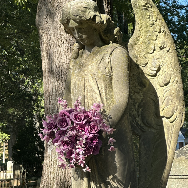 "Chestnut Hill Cemetery #10" stock image