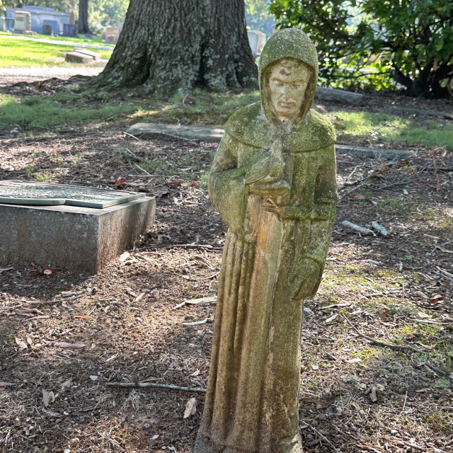 "Chestnut Hill Cemetery #6" stock image