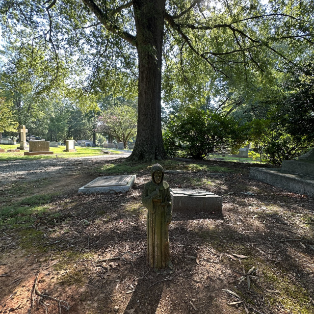 "Chestnut Hill Cemetery #3" stock image