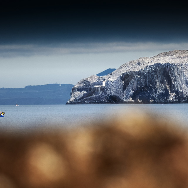 "Fishing Off Bass Rock" stock image