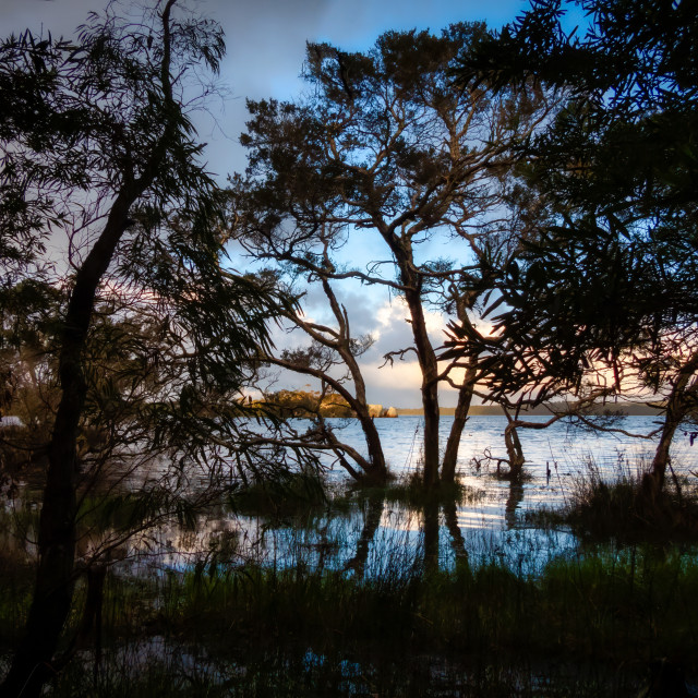 "Estuary Sunset Light" stock image