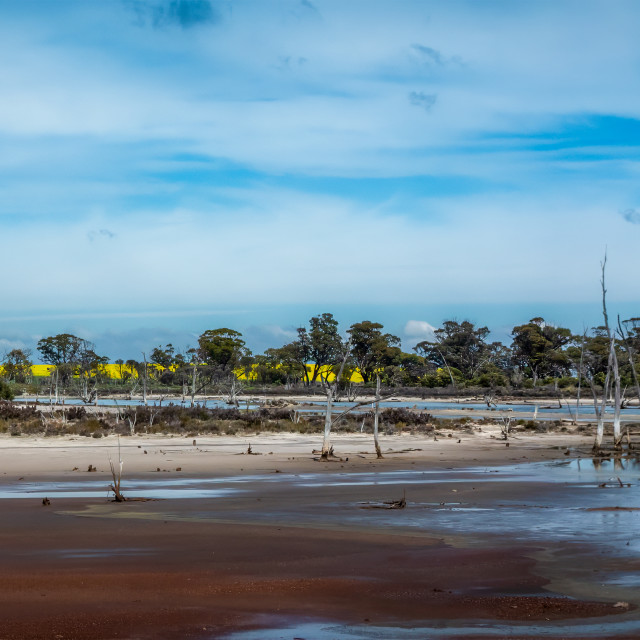 "Drying salt Lake" stock image