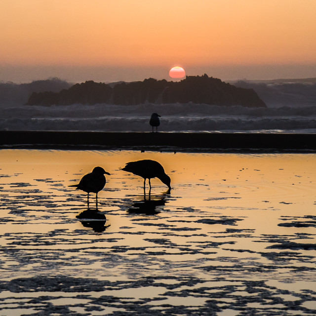 "Oregon Coast Sunset Crashing" stock image