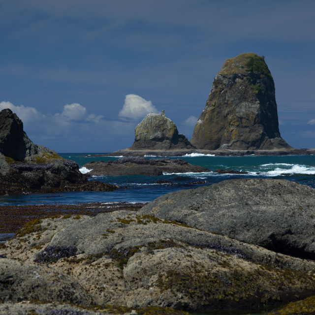 "Olympic National Park Coast" stock image