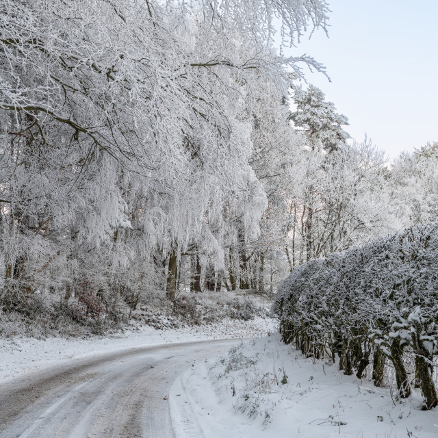 "Snow covered lane in the Scottish Borders in the United Kingdom" stock image