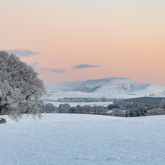 "Sunset over snow covered fields and trees in the Scottish Borders, United Kingdom" stock image