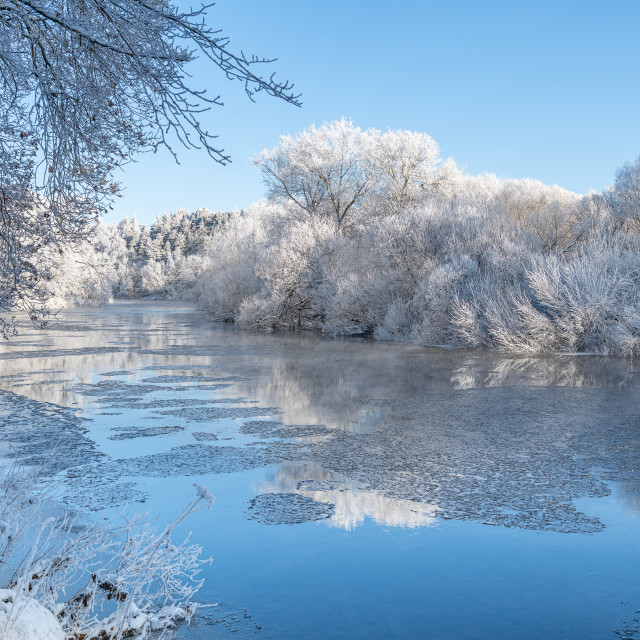 "Reflections of snow covered trees in the River Teviot, Scottish Borders, United Kingdom" stock image