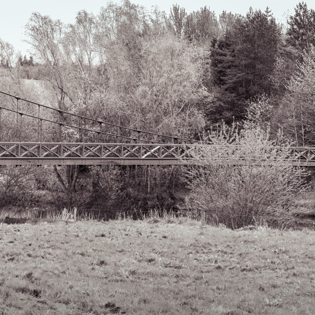 "Monochrome panorama of the Kalemouth Suspension Bridge over the Teviot river between Kelso and Jedburgh in the Scottish Borders, UK." stock image