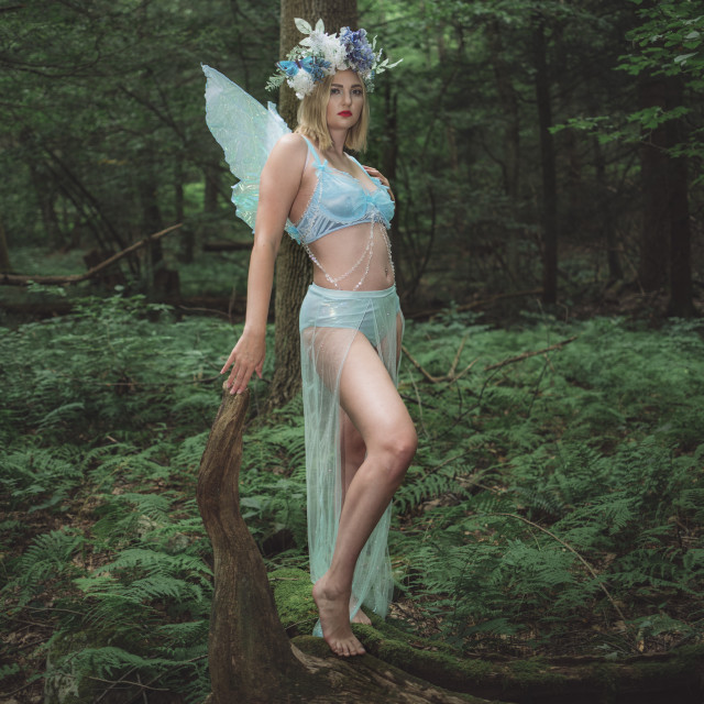 "A fae in the forest" stock image