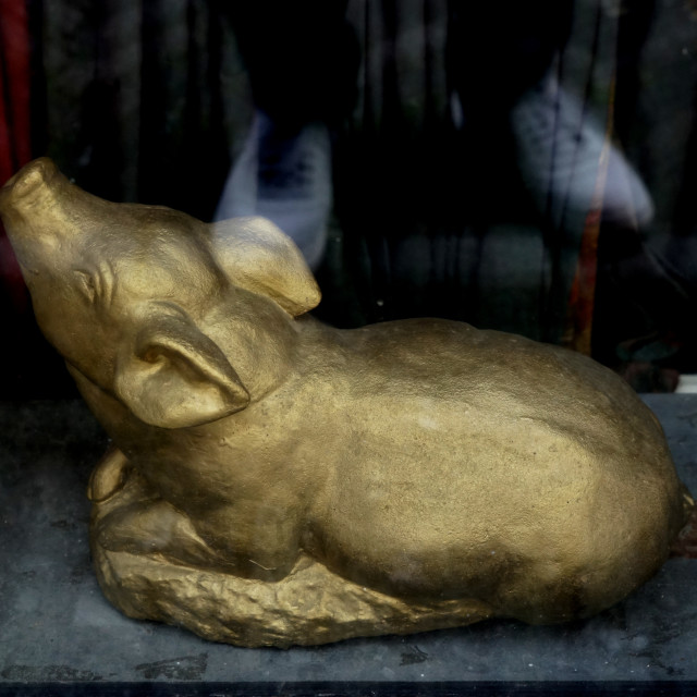 "A golden piglet" by Amit Mendelsohn - $48.79 "A golden piglet" stock image