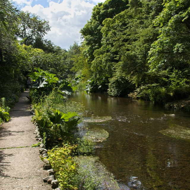 "Path by the Stream" stock image