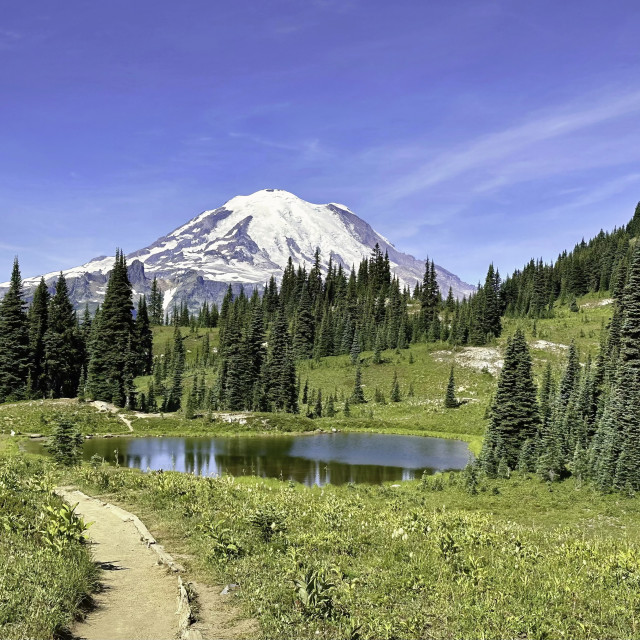 "Naches Peak View" stock image