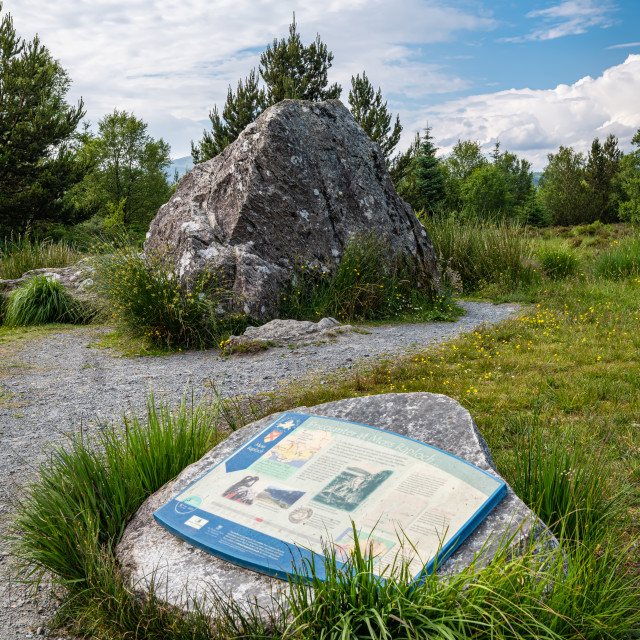 "Bruce's Stone and Information sign at Loch Clatteringshaws, Dumfries and Galloway, Scotland" stock image