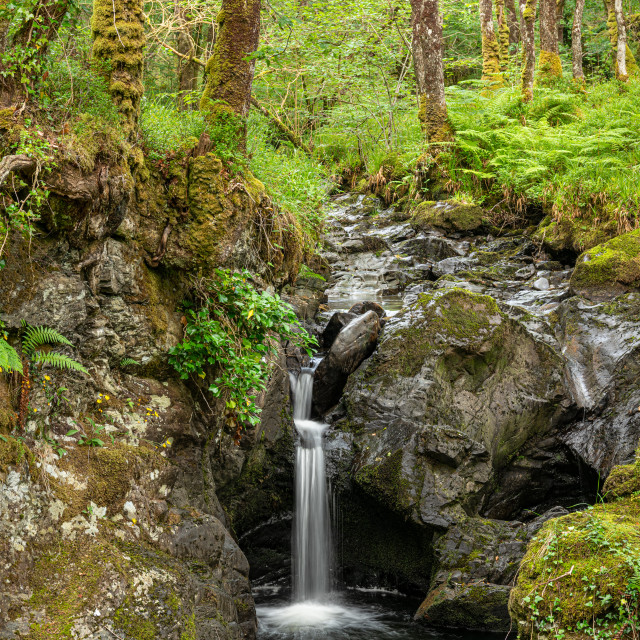 "Waterfall on Cordorcan Burn in the Wood of Cree Scottish Rain Forest in The Galloway National Forest" stock image