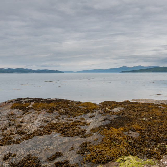 "Looking North along the coast of Loch Fyne in Argyll in Scotland" stock image