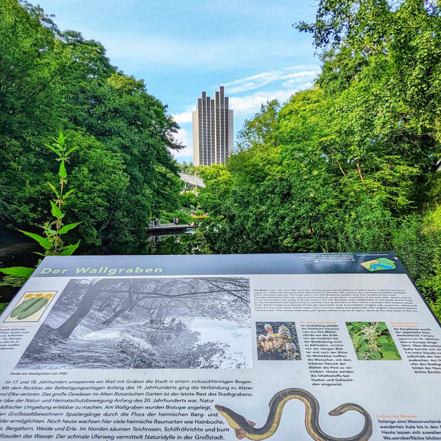 "Hamburg downtown from Planten un Blomen park" stock image