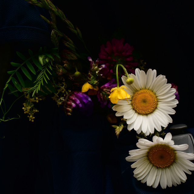 "Handpicked Wildflowers" stock image