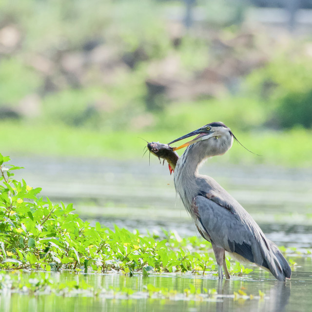 "Gone fishing" stock image