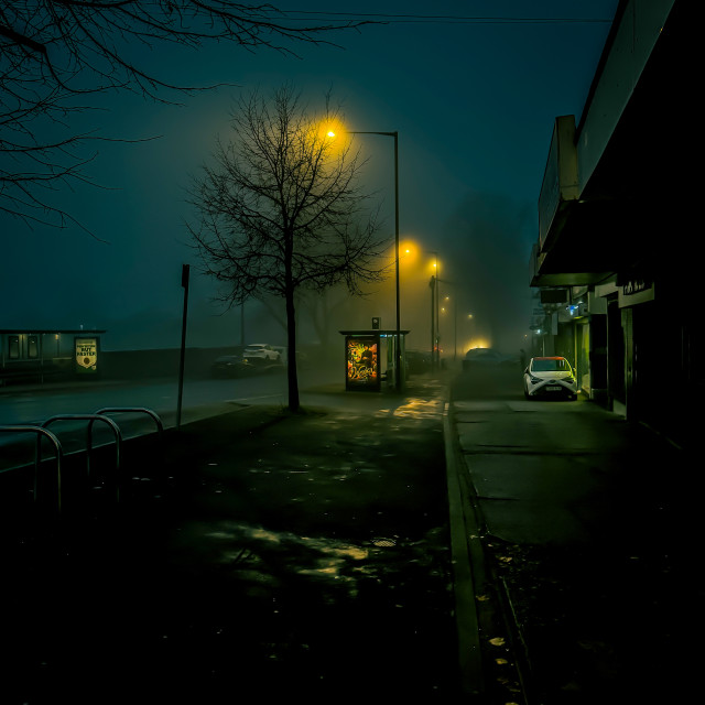 "Foggy morning" stock image