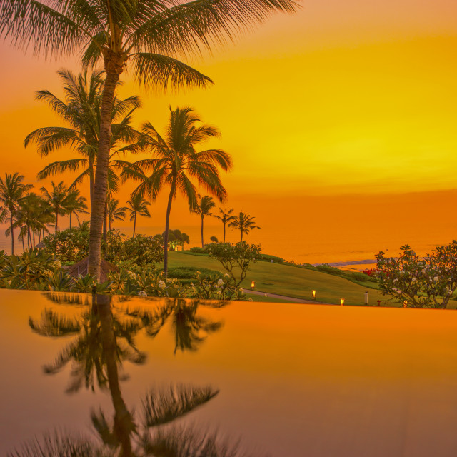 "BALI PALM TREE REFLECTION" stock image