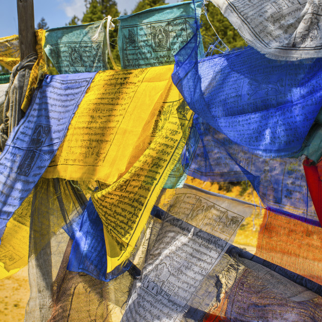 "BUDDHIST PRAYER FLAGS" stock image