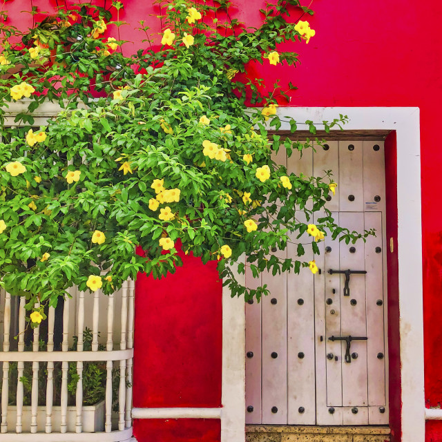 "CARTAGENA RED" stock image