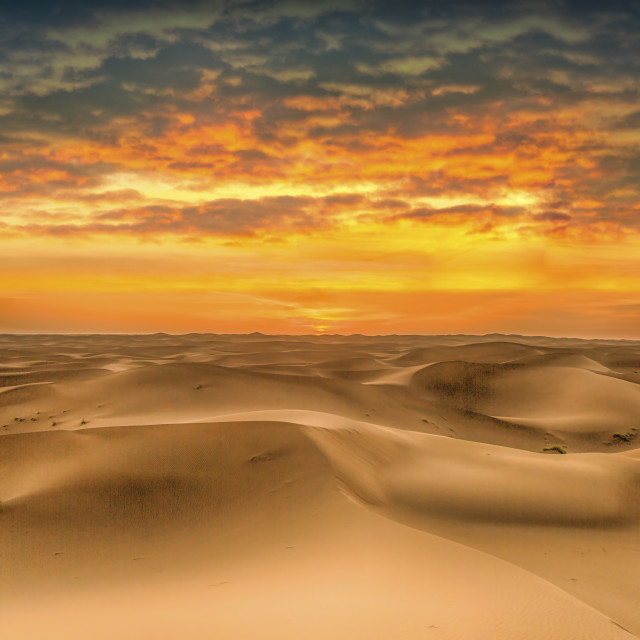 "SAHARA DESERT STRENGTH" stock image