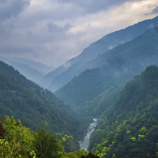 "HIMALAYA RIVER VALLEY" stock image